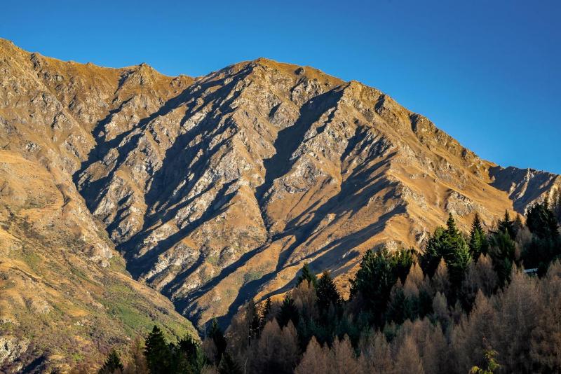 Residence Du Parc - Apt 5 at the base of Coronet Peak - image 11