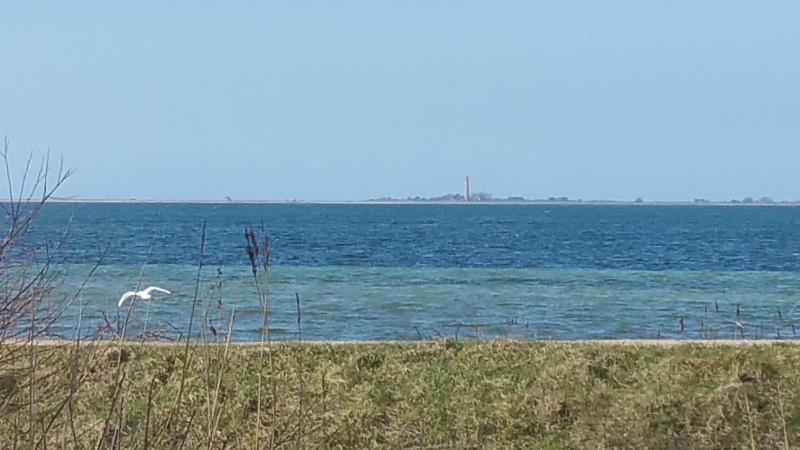 Haus Achtern Diek in erster Reihe am Meer - image 9