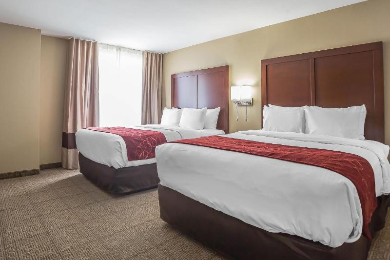 Queen Suite with Two Queen Beds and Sofa Bed image 1