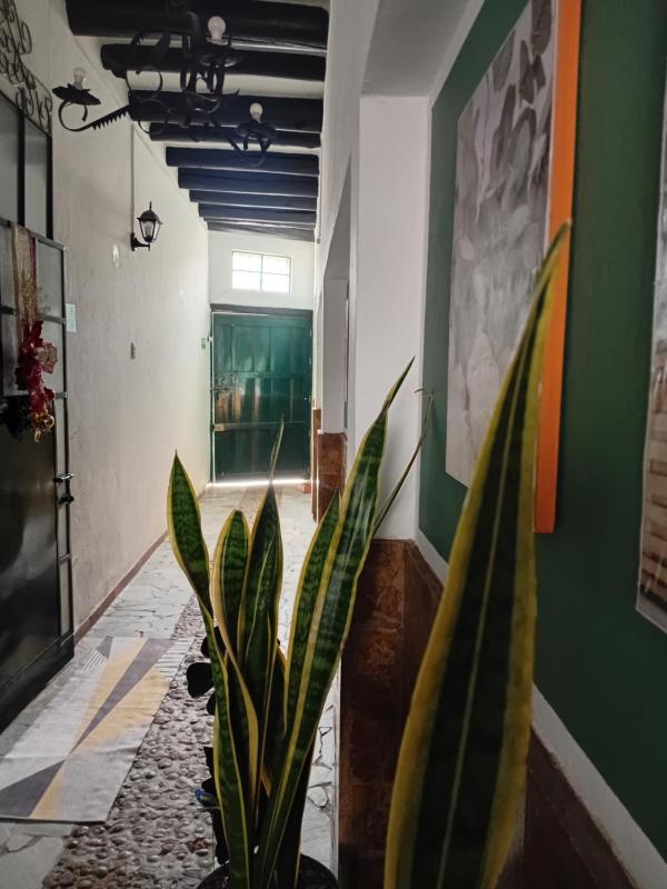 Apartamento Eucalyptus - image 8