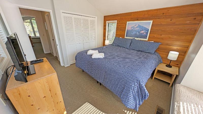 Whistling Swan 8 - image 17
