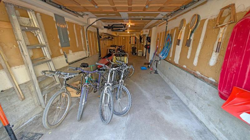 Whistling Swan 8 - image 15