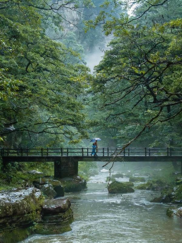 Zhangjiajie CLOUD Zhenxi Hotel- Near Forest Park EastGate about 10 Min Walk - English Butler Free Luggage Storage Tour Plan -reserve tickets for various scenic spots-Self-Service LaundryFree coffee Chinese tea - image 45