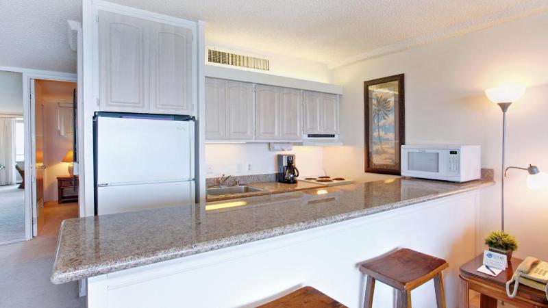 One-Bedroom Apartment with Balcony and Oceanfront View image 4
