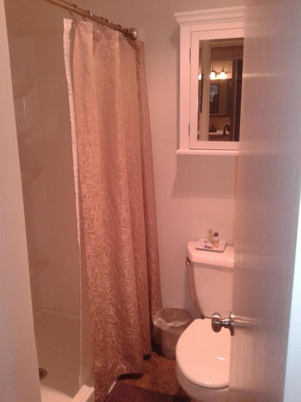 Junior Suite with Garden View image 3