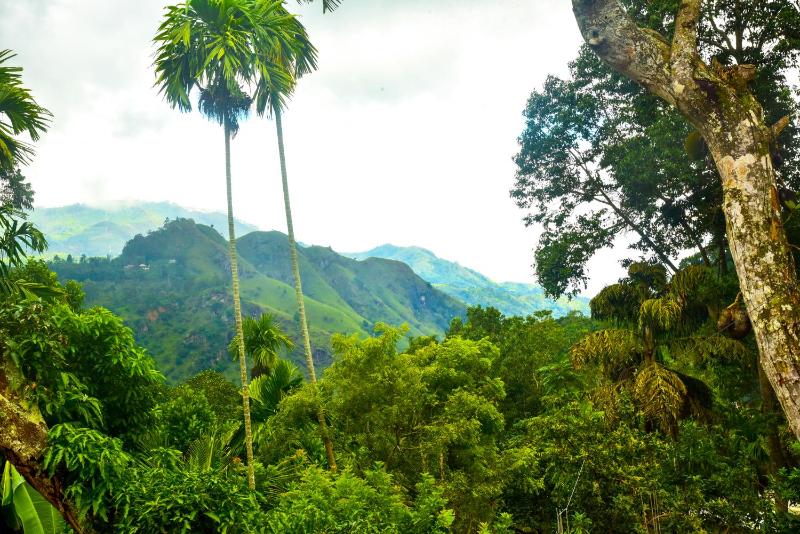 Dawn View Home Stay - image 14