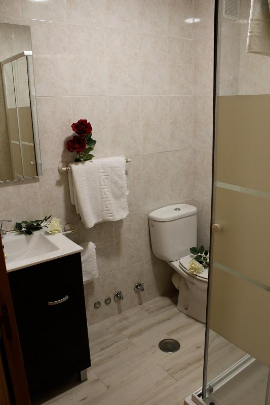 Single Room image 2