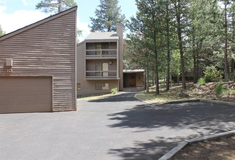 Yellow Pine 10 - image 28