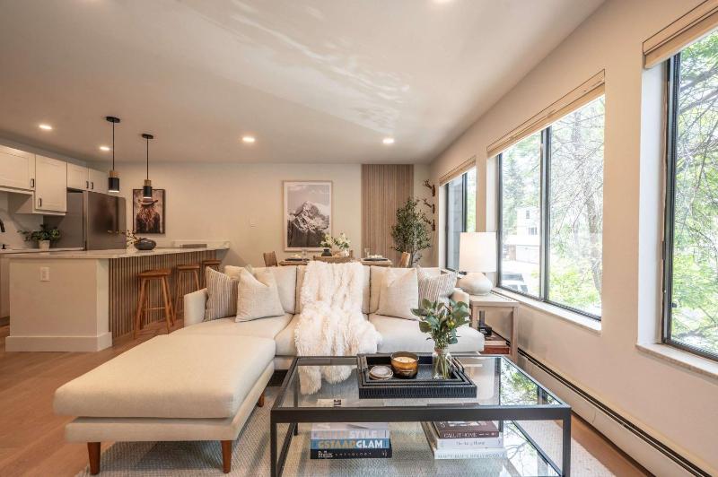 Modern 2BR 1BA with AC in the Heart of Aspen! - image 40