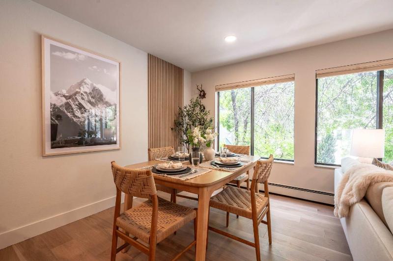 Modern 2BR 1BA with AC in the Heart of Aspen! - image 15