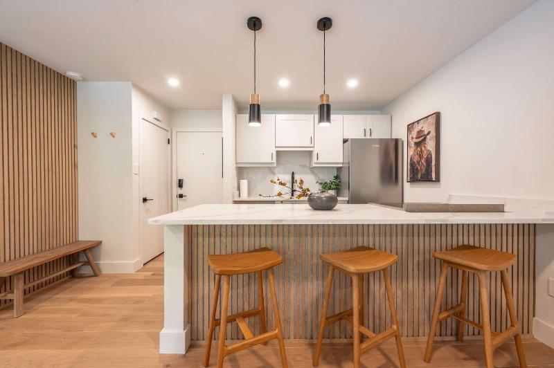 Modern 2BR 1BA with AC in the Heart of Aspen! - image 17