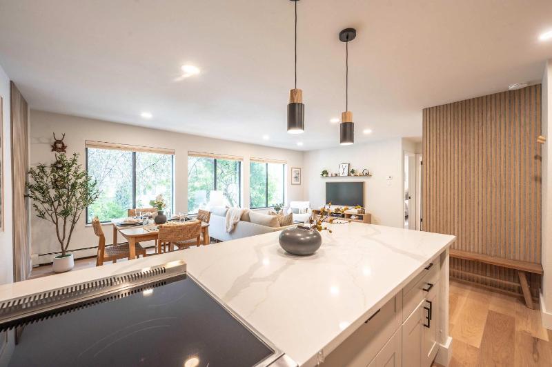 Modern 2BR 1BA with AC in the Heart of Aspen! - image 26