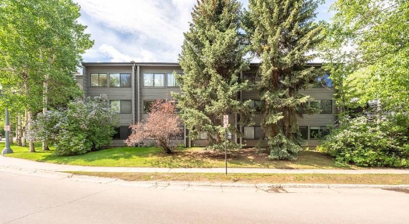 Modern 2BR 1BA with AC in the Heart of Aspen! - image 46