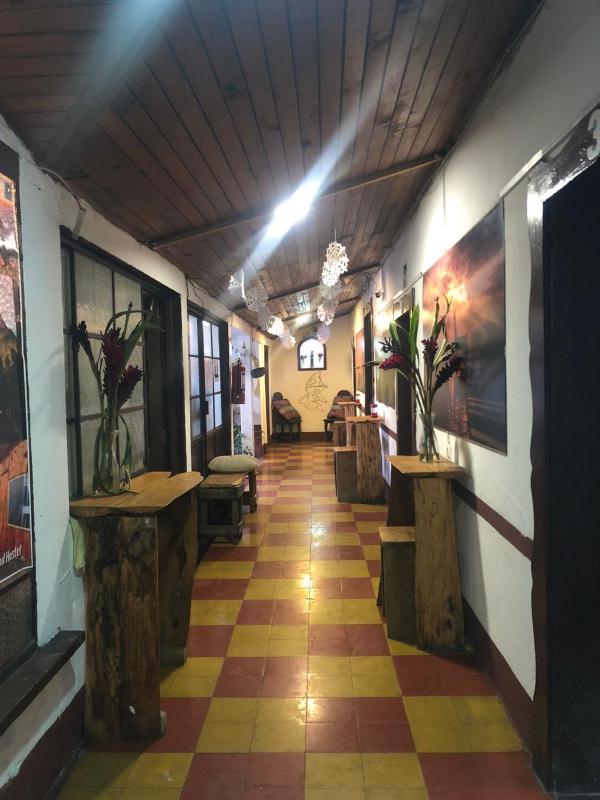 Kamazoztz Hostel and Travel - image 2