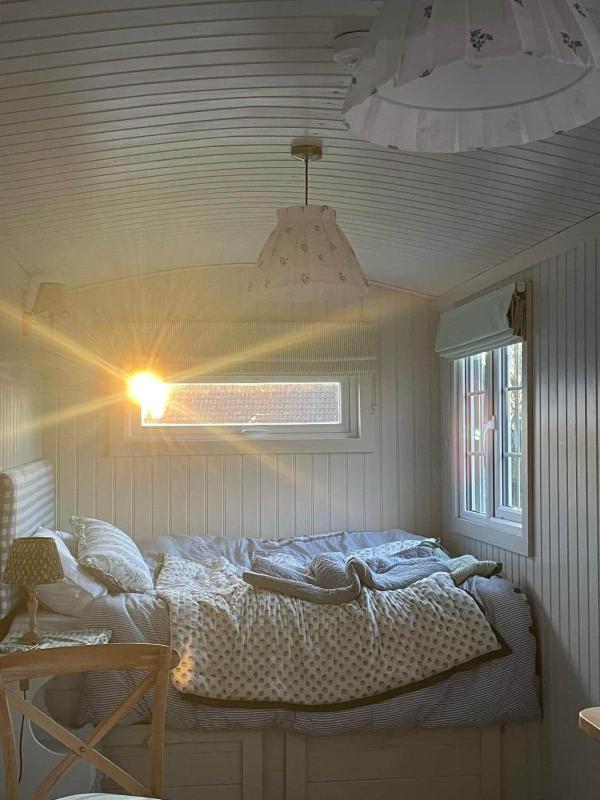 Shepherds Hut Galway - image 15