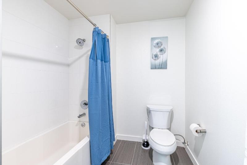 Midtown 2BR Fully Furnished Apartment near Emory apts - image 16