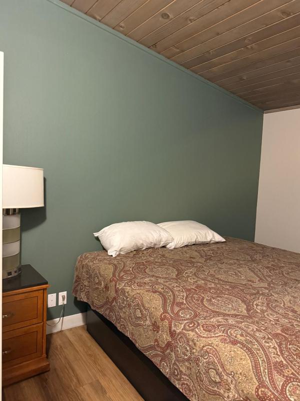 Studio 9 Big Bear Lake - image 16