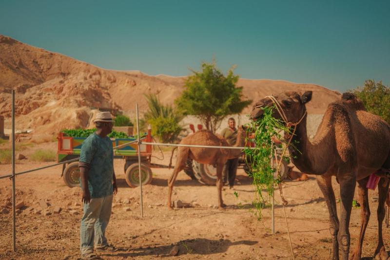 Sheikh Ali Dahab Resort - image 23