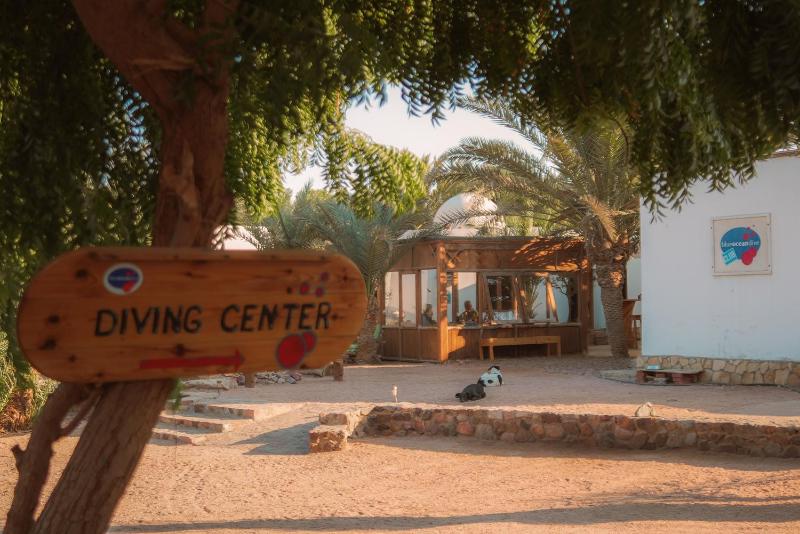 Sheikh Ali Dahab Resort - image 8