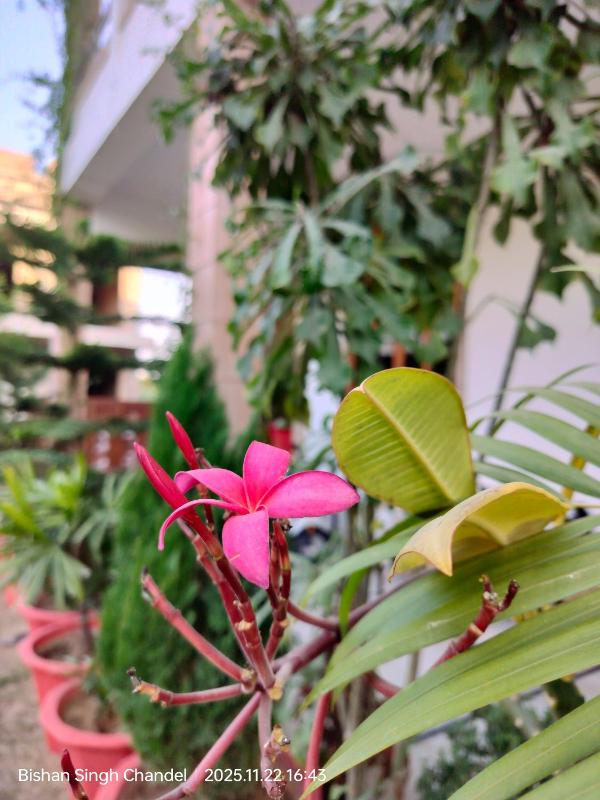 Nature Escape Villa - image 6