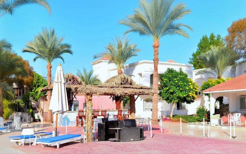 Viva Suites Sharm El Sheikh - image 37