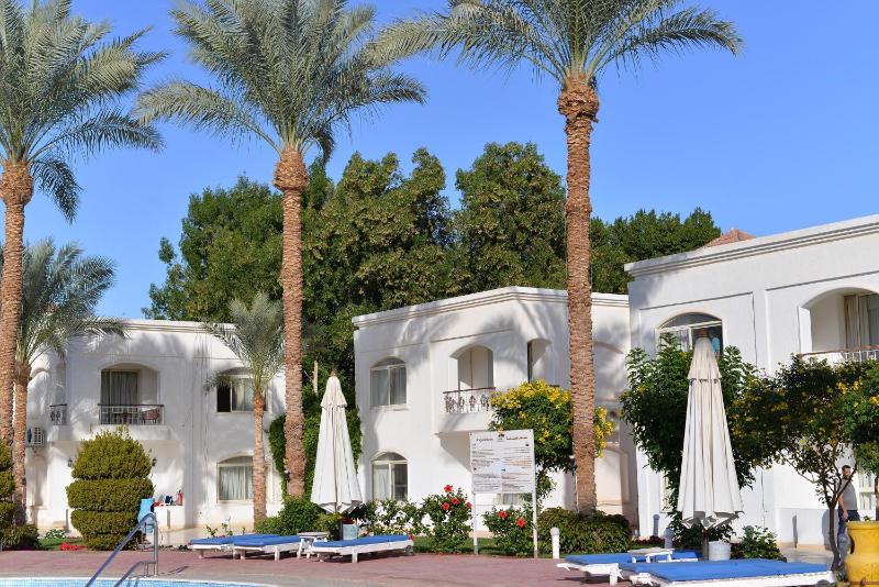 Viva Suites Sharm El Sheikh - image 7
