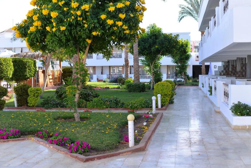 Viva Suites Sharm El Sheikh - image 25