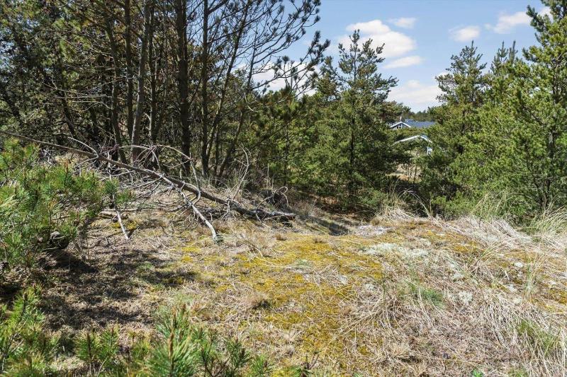 257-Thisted-Blamunkevej-34 - image 11