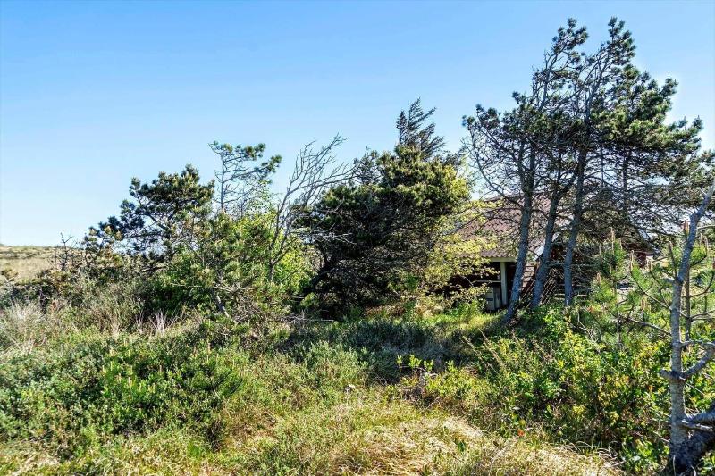 340-Thisted-Delfinvej-25 - image 14