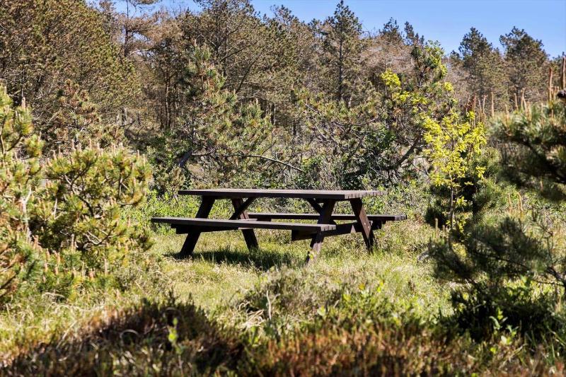 815-Thisted-Blamunkevej-45 - image 7