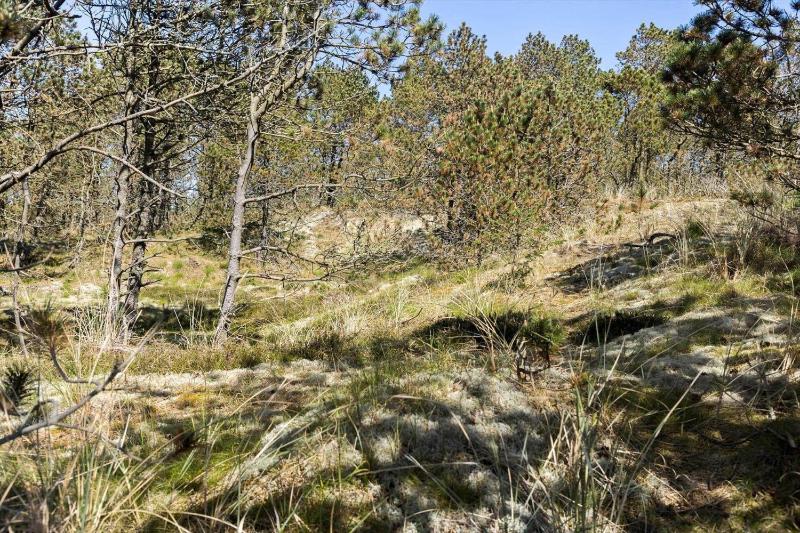 815-Thisted-Blamunkevej-45 - image 3