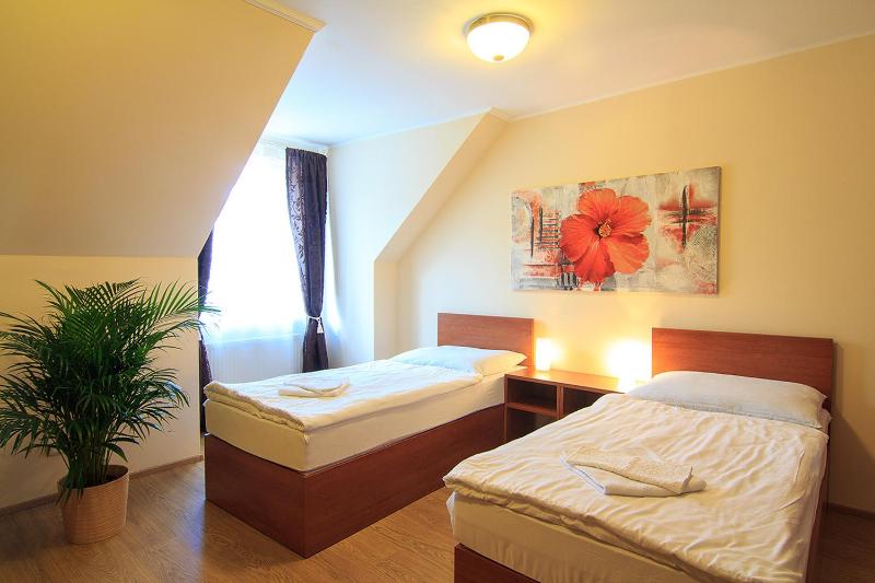 Standard Twin Room image 3