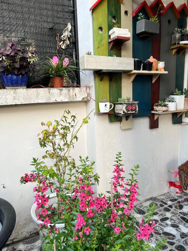 Nestié Home - image 8