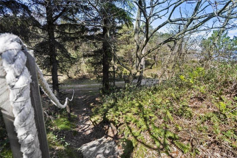 OH279-Hadsund-Fruerlund-Plantage-32 - image 16
