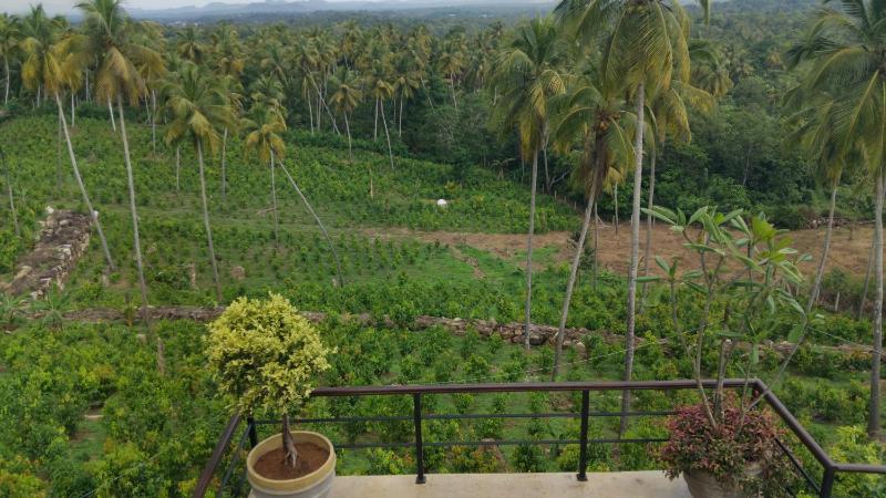 Kurunda Estate Villa - image 13