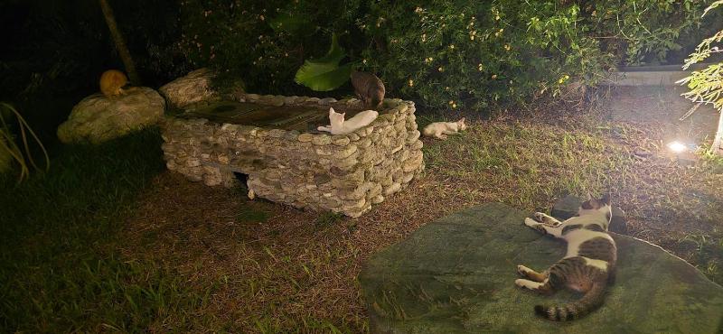 Snail B&B - image 23