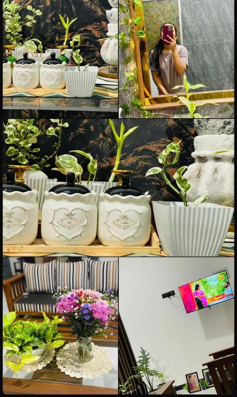 Chala s Place - image 3