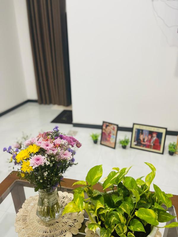 Chala s Place - image 6