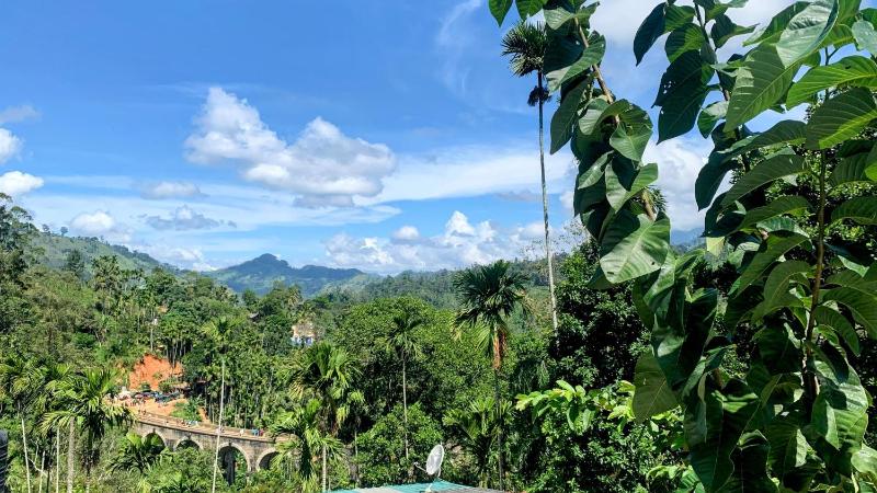 Nine Arch Araliya Homestay - image 8