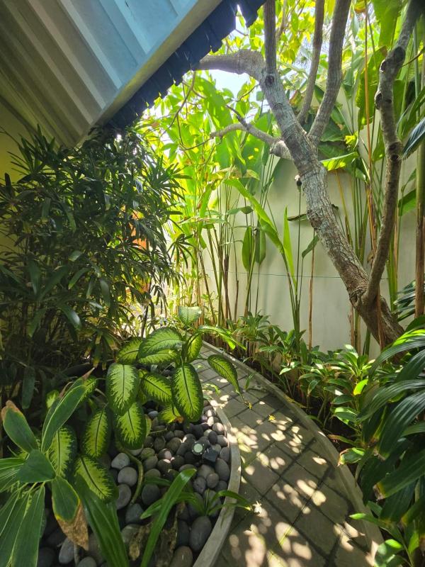 Villa Seni - image 22