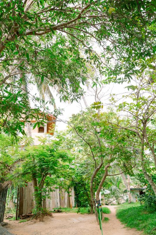 Liya Hostel Mirissa - image 3