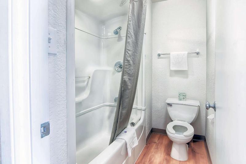 Double Room - Disability Access - Roll In Shower image 4