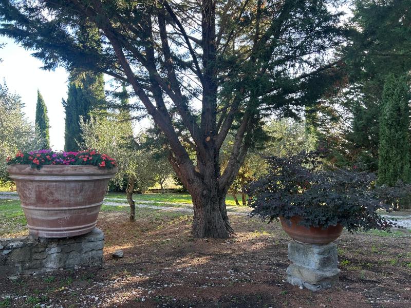 BORGO IN SAN ANGELO - image 29