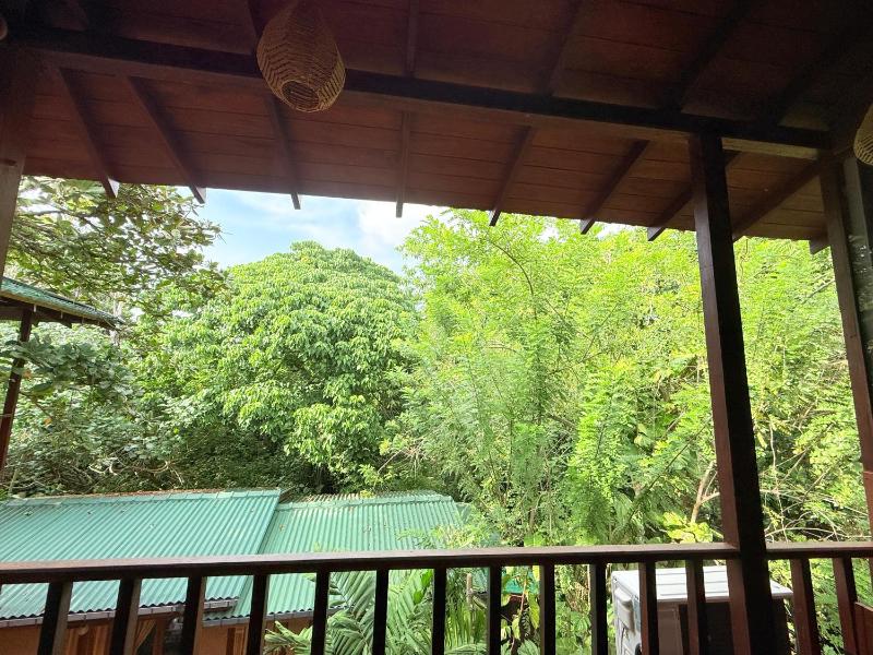 Tree House Mirissa - image 6