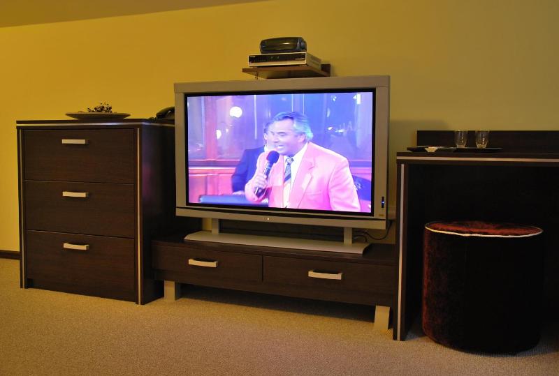 Double or Twin Room image 3
