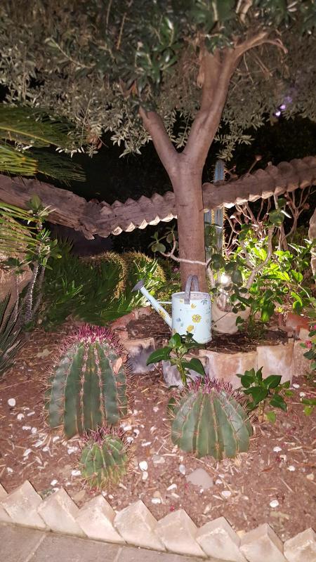 Villa Margherita - image 42