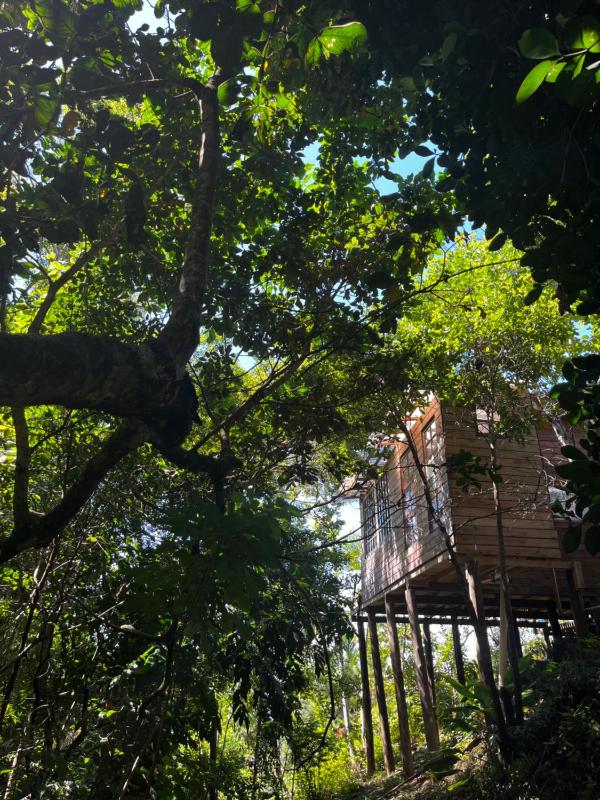Cabana aracuã - image 7