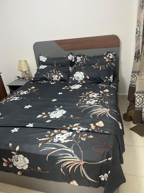 At your home in Conakry - image 5
