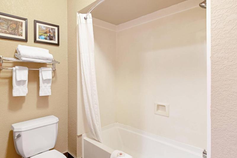 Comfort Inn & Suites Fredericksburg - image 5