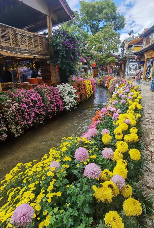 Dream Trip - image 9